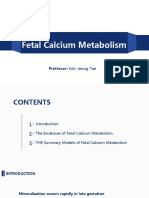 Fetal Calcium Metabolism: Professor: Koh, Jeong-Tae