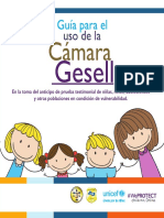 Guia Uso Camara Guessel PDF