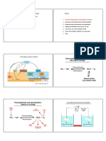 Vorlesung 752-4001-00 Mikrobiologie WS 04/05 Biochemische Diversität: C-Zyklus Topics