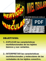 tema_tejido_nervioso_y_muscular [Autoguardado]