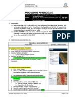 Módulo de Aprendizaje Ráster 04 PDF