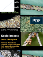 QTScale Insects