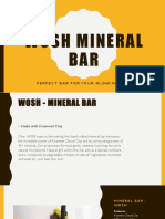 Wosh Mineral Bar PDF