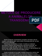 C3_Metode-animale-transgenice.pptx