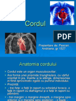 cordul 08.56.48.ppt