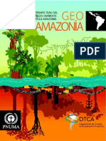 VV.AA. Perspectivas del medio ambiente en la Amazonía.pdf