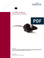 fdocuments.in_c57bl6-mouse-model-information-sheet-charles-river.pdf