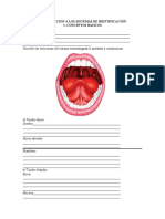 PRACTICA NRO 1 ANATOMIA DENTAL Y DATOS HISTORICOS FORENSES.docx