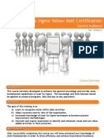 Lean Six Sigma Yellow Belt Certification: General Audience