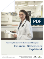 Vibe Financial Statements Explained 24thjuly PDF