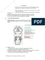 13-Le nerf facial.pdf