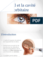 11-Oeil et cavité orbitaire