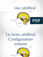 5-Tronc cérébral
