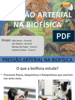 PRESSÃO ARTERIAL NA BIOFÍSICA (1).pptx