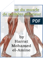 Résumé de Muscle