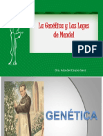 Citologia Fase 3 PDF