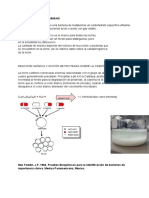 6 Metabolismo Microbiano: Prote