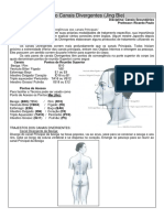 Resumo Canais Divergentes (p.turma).pdf