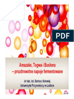 Amazake, Togwa i Bushera_Prozdrowotne Napoje Fermentowane_dr Bartosz Sołowiej__U. P. w Lublinie