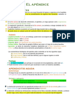 Apéndice PDF