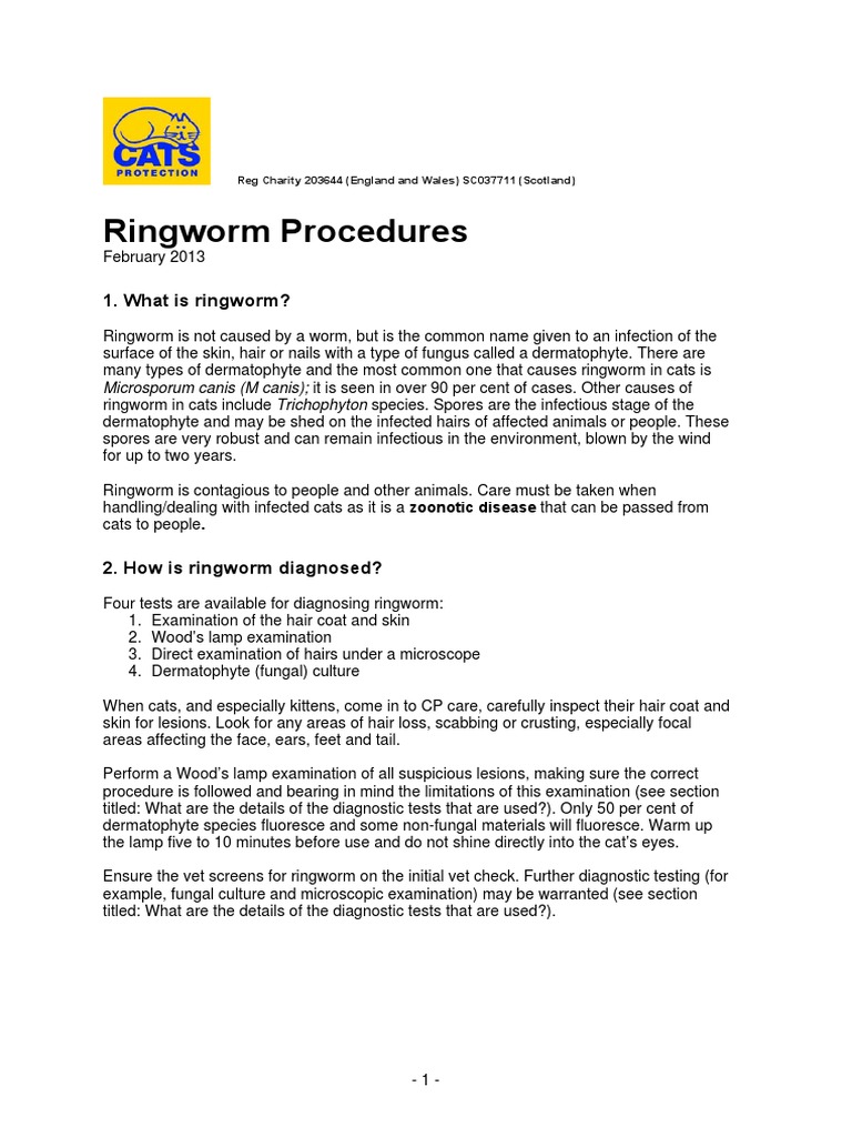 Ringworm Procedures v1 PDF Infection Medical Specialties
