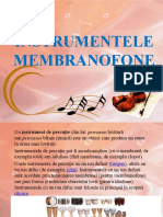 Instrumentele Idiofone