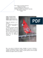 Nicho ecológico de Cardinalis phoeniceus