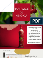 Hablemos de Ningxia Red