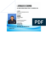 plantilla licencia