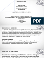 Sseguridad Indudtrial PDF