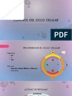 2°M BIOLOGIA control del ciclo celular 2 julio.pdf