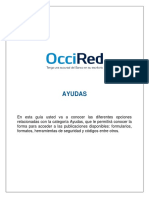 Manual Categoria Ayudas PDF