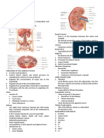 AnaPhy - Urinary System