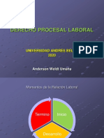 Derecho Procesal Laboral Ppt 01-02