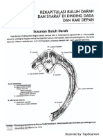 Buku Panduan Anvet II (2)