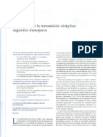 Cap13 - Regulación de La Transmisión Sináptica