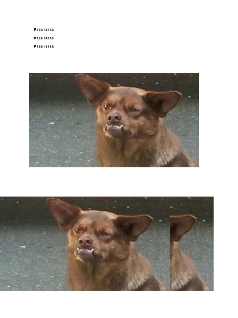 Raaa Raaaa Raaa Raaaa Raaa Raaaa | PDF