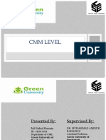 CMM Level 1 Process Overview