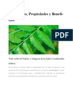 Neem Usos Propiedades y Beneficios