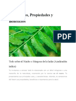 Neem Usos Propiedades y Beneficios