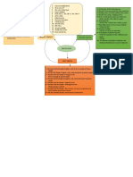 Graphic Organizer