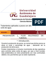 presentacion 1, AGUA DE FORMACION, Flujo Multifasico