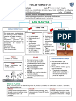 N° 23 Ficha Ciencia y Tecnología-Las Plantas