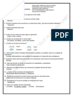 Osteologia, Guia de Arellanes PDF