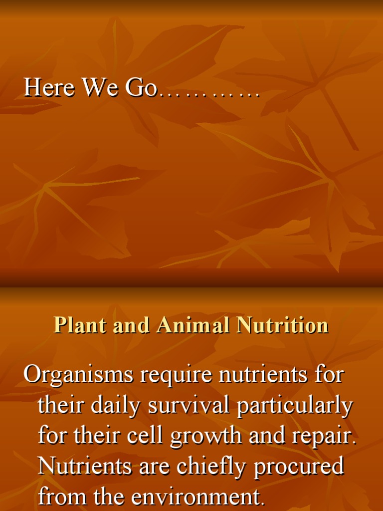 Plant and Animal Nutrition