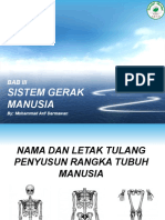 Sistem Gerak