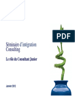 1 - Le Rôle Du Consultant Junior PDF