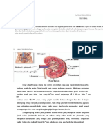 LP Colic Renal