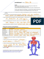 Skeletal System Worksheet