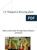 Transport in Flowering Plants PDF